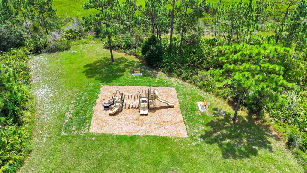13812 CEPHEUS DRIVE gallery image #38
