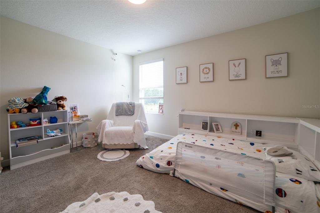 11109 SWEETGUM WOODS DRIVE gallery image #30