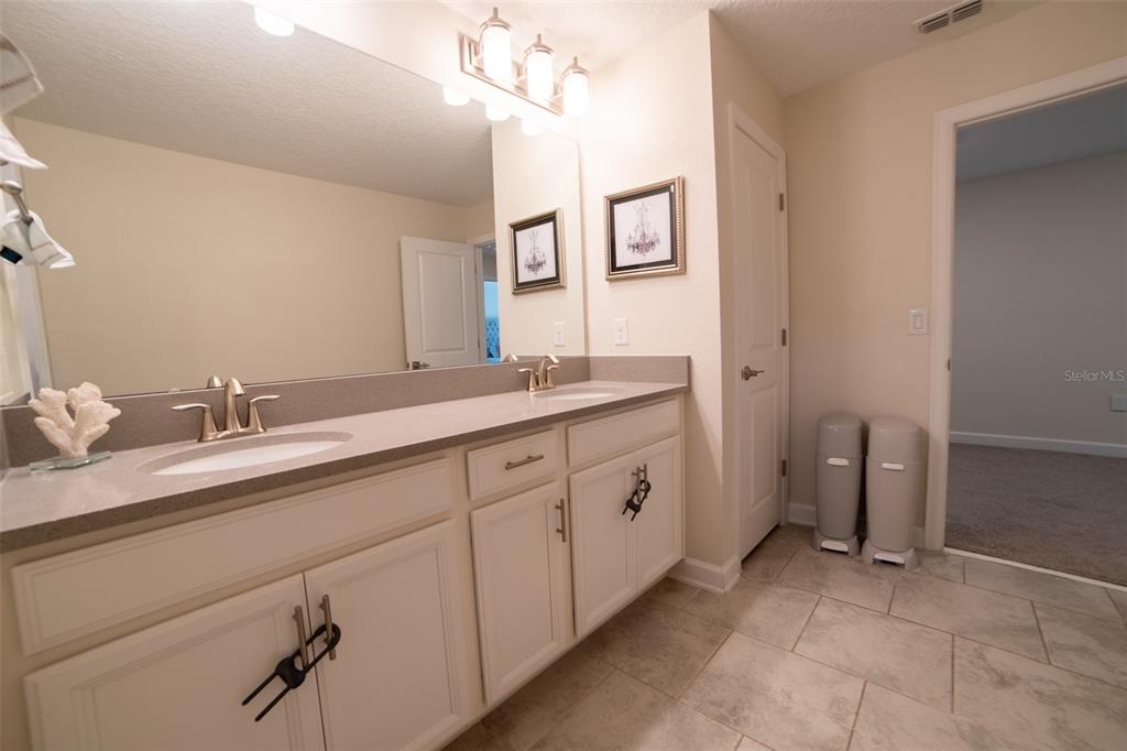 11109 SWEETGUM WOODS DRIVE gallery image #33