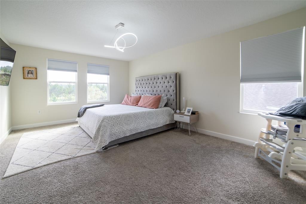 11109 SWEETGUM WOODS DRIVE gallery image #35