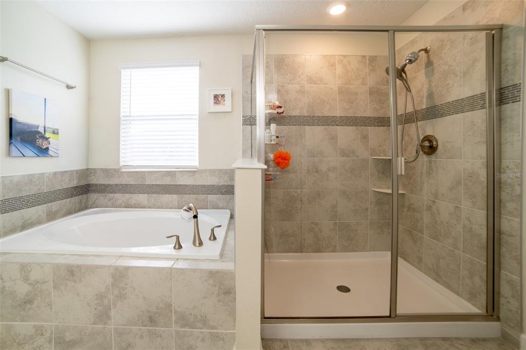 11109 SWEETGUM WOODS DRIVE gallery image #38