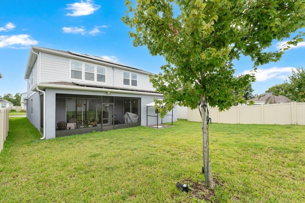 1457 GRAND PALM DRIVE gallery image #28