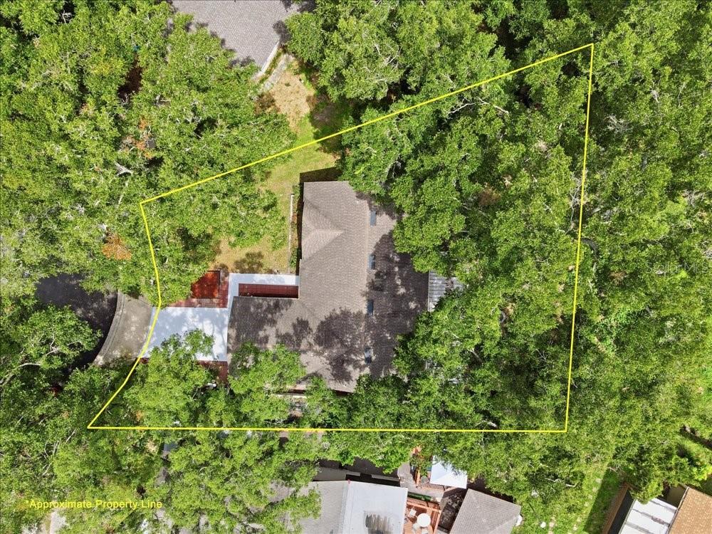 5513 CAURUS COURT gallery image #26