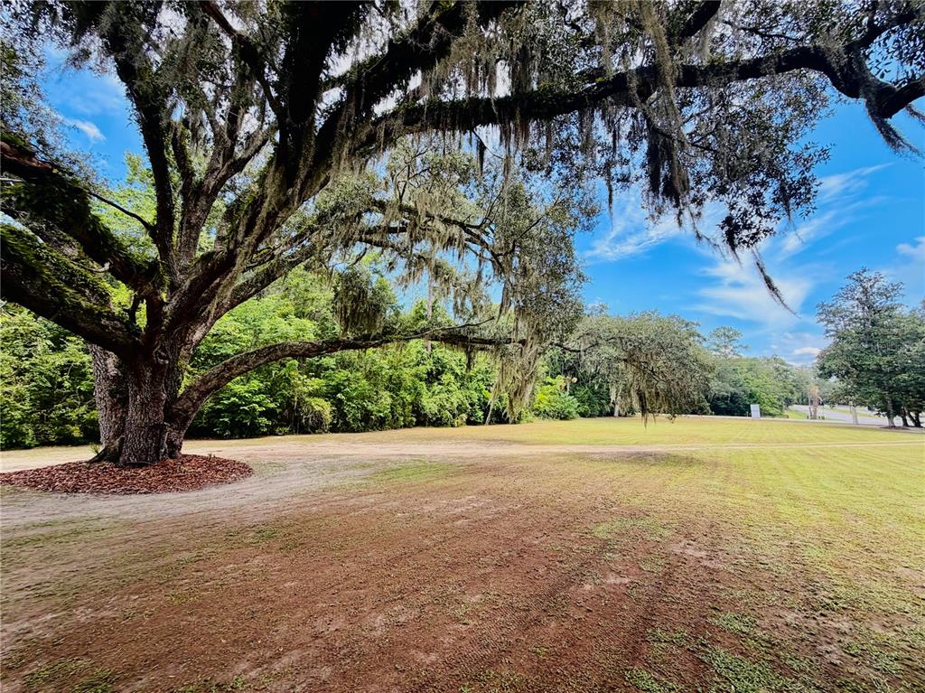 5900 S MAGNOLIA AVENUE gallery image #4
