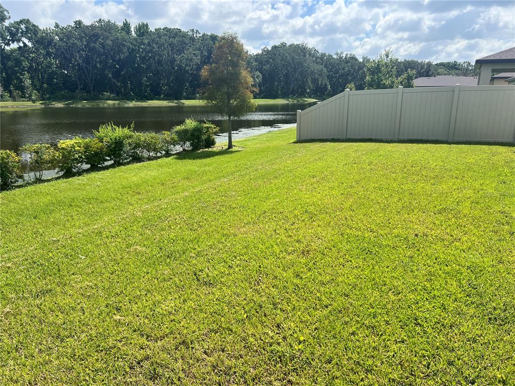6316 DOLOSTONE DRIVE gallery image #10