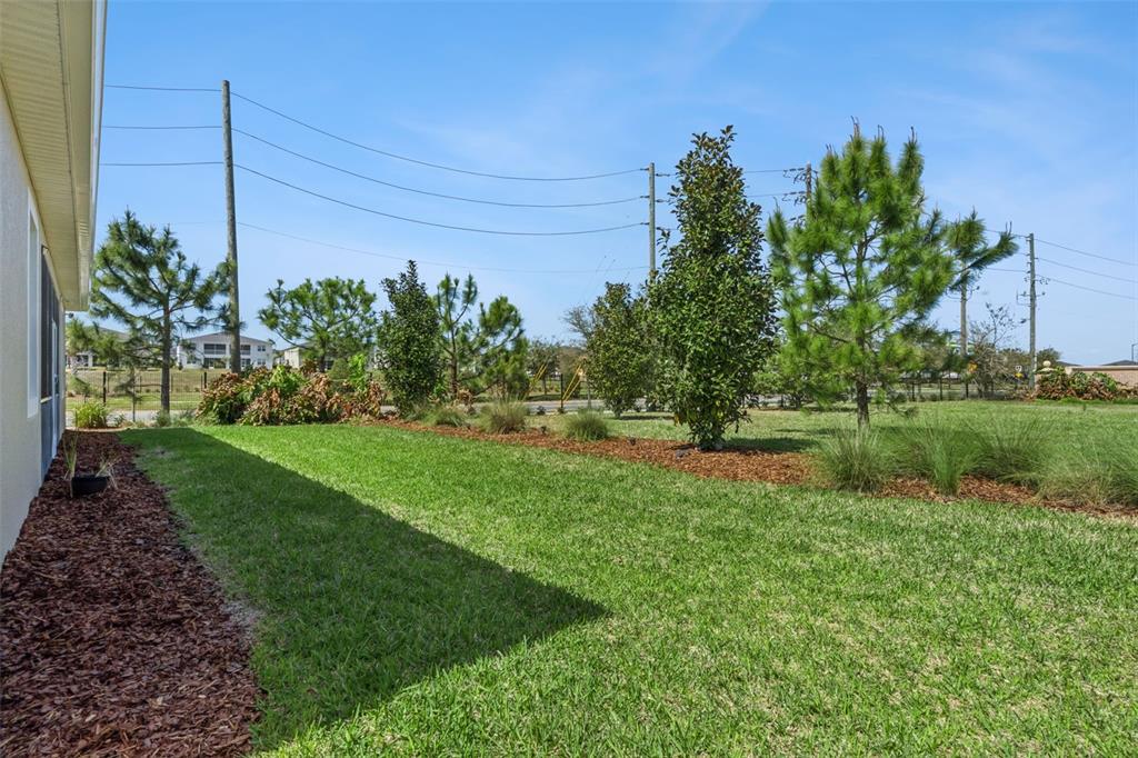 8999 CROQUET COURT gallery image #45