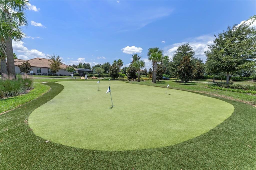 8999 CROQUET COURT gallery image #63