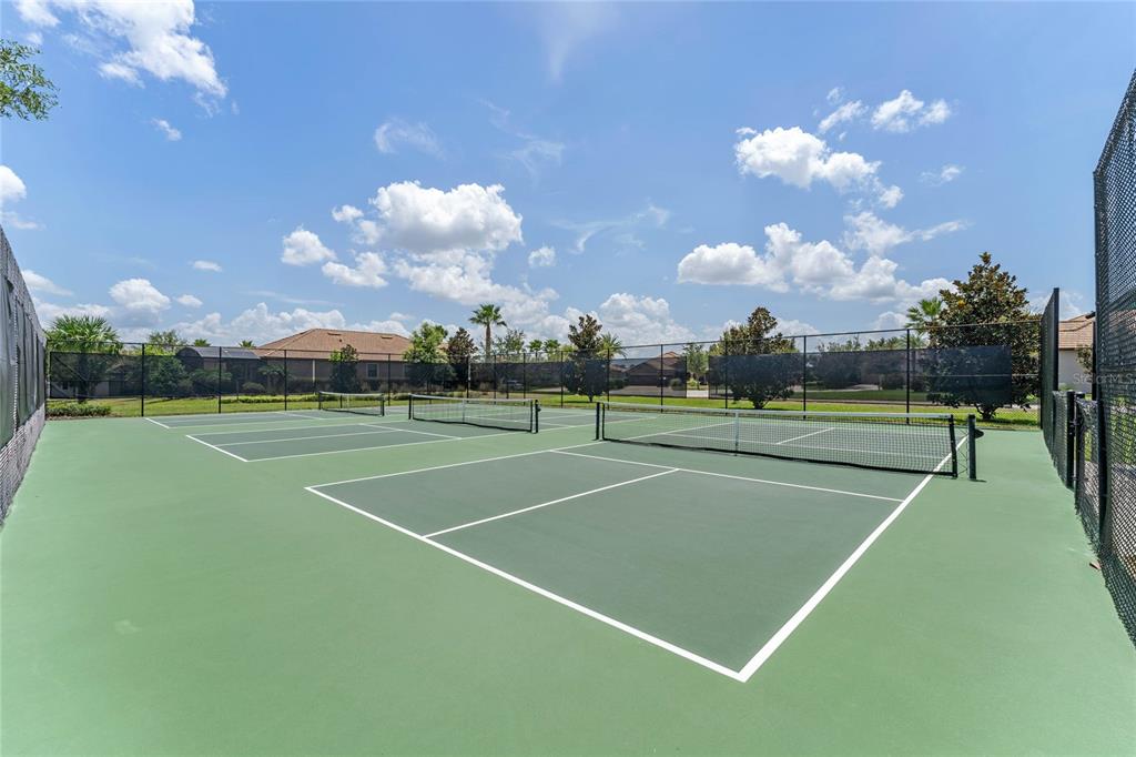 8999 CROQUET COURT gallery image #64