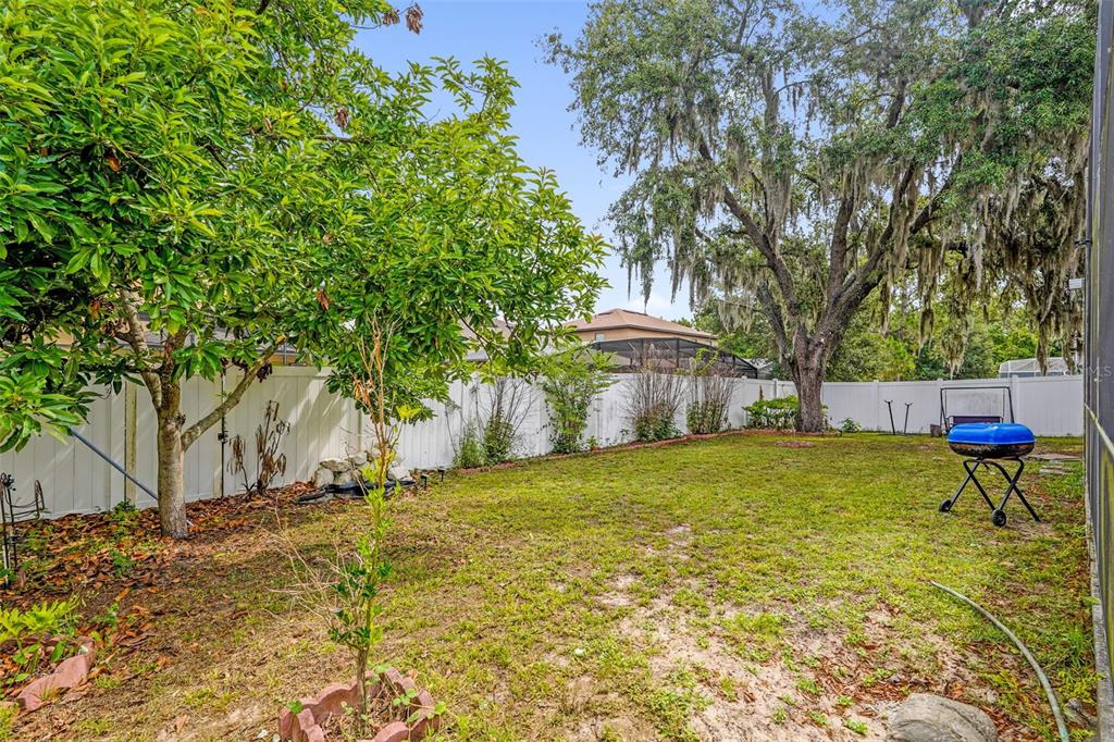 149 IMPERIAL OAK COURT gallery image #27