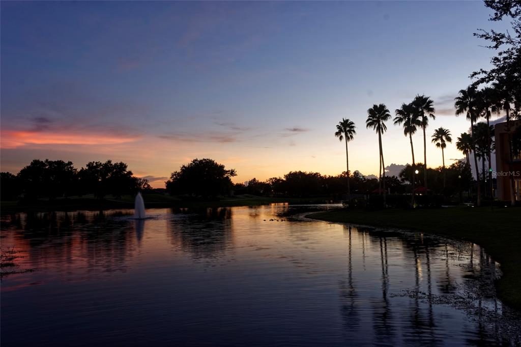 807 BELLA VIANA ROAD gallery image #52