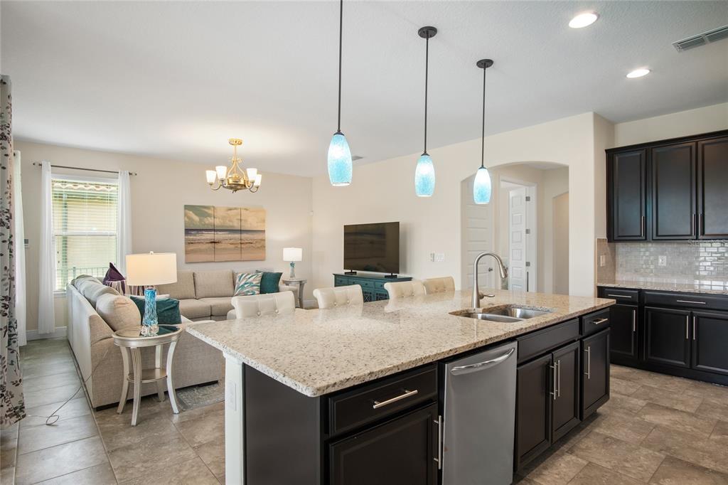 1624 NINA DRIVE gallery image #16