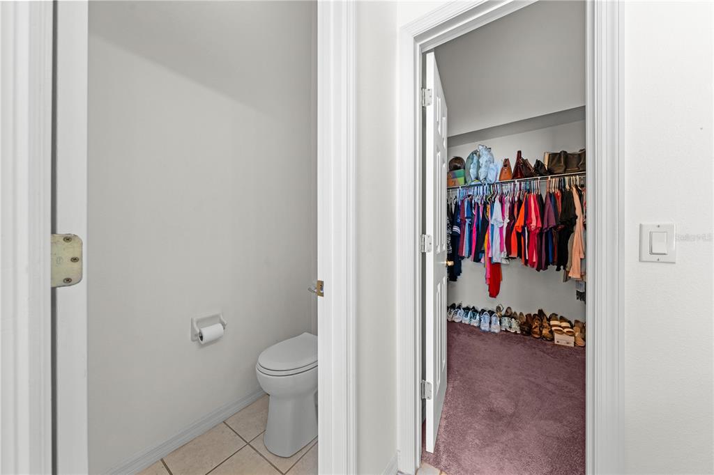 2513 CROWN RIDGE CIRCLE gallery image #50