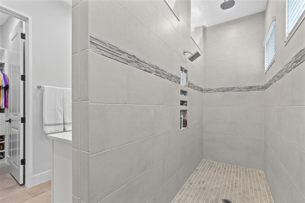 8252 MODIANO STREET gallery image #21