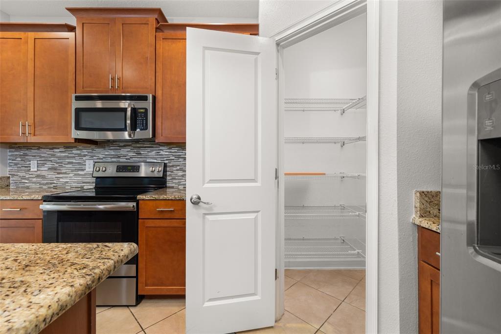 14157 GOLD BRIDGE DRIVE gallery image #17