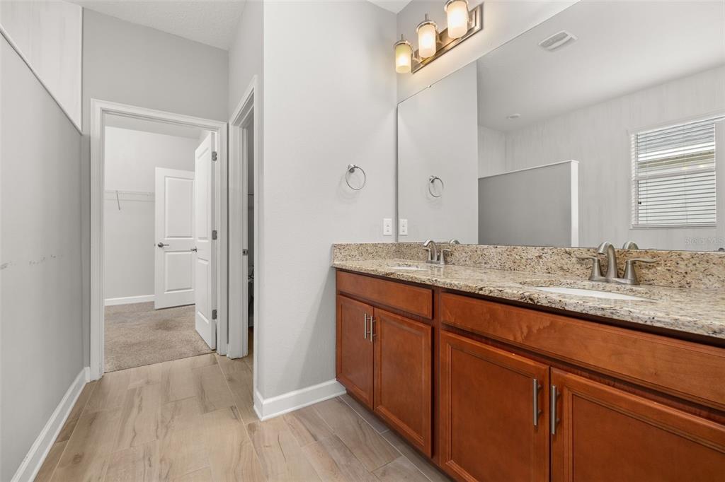 14157 GOLD BRIDGE DRIVE gallery image #18