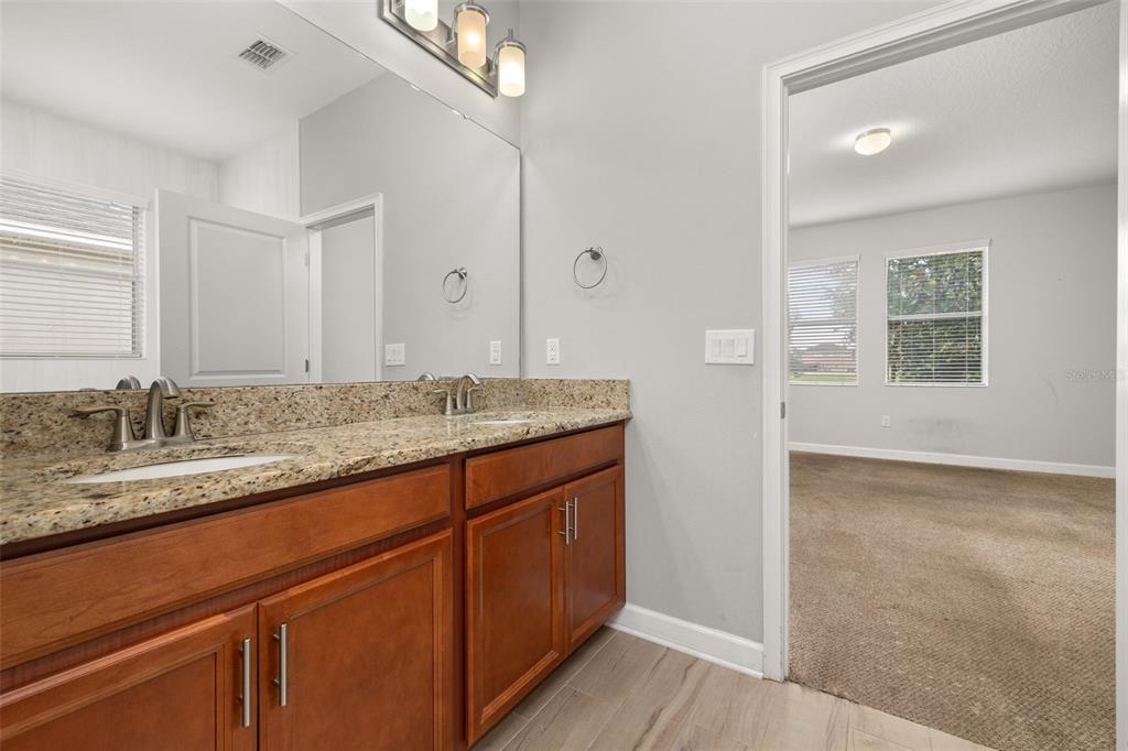 14157 GOLD BRIDGE DRIVE gallery image #21