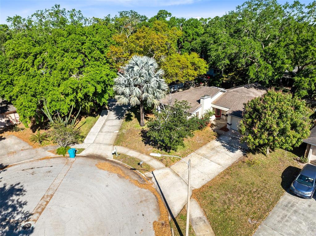 725 COQUINA COURT gallery image #4