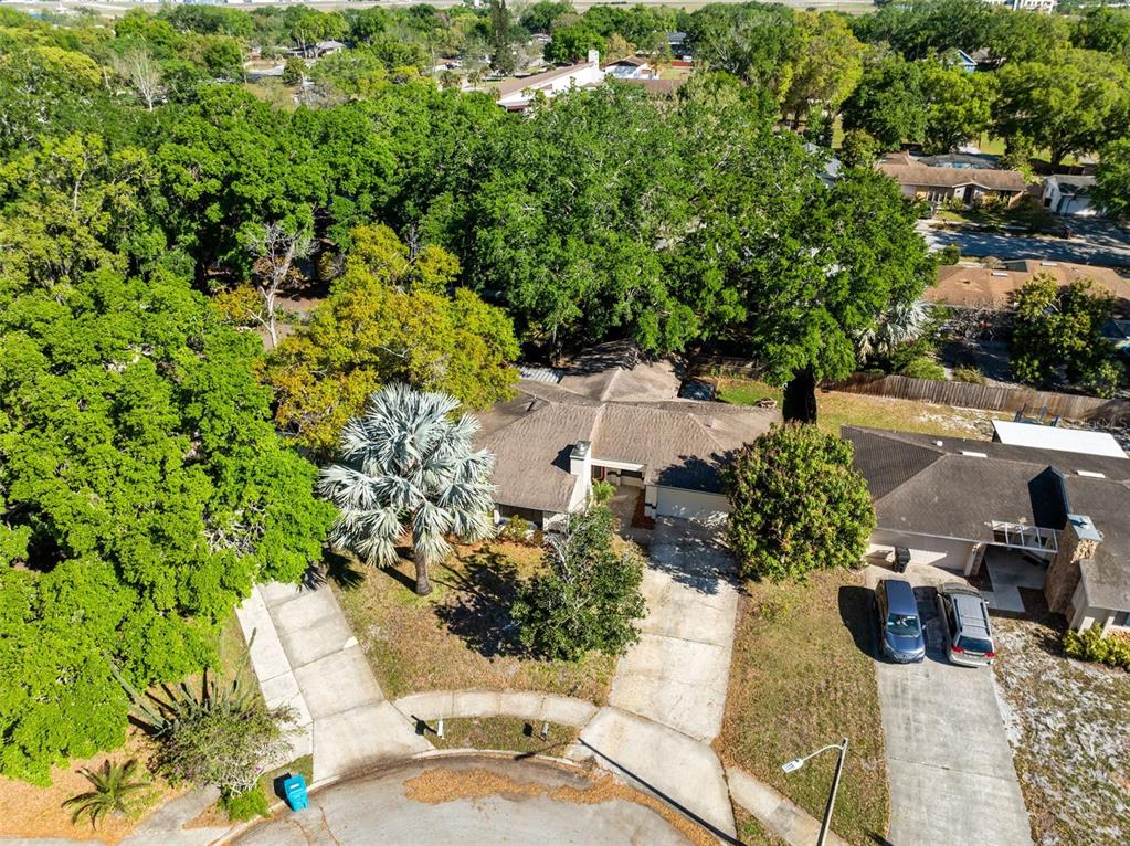725 COQUINA COURT gallery image #5