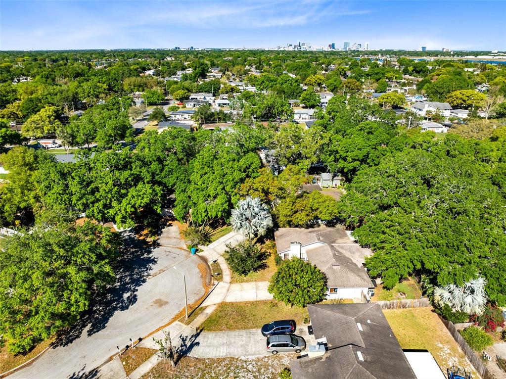 725 COQUINA COURT gallery image #7