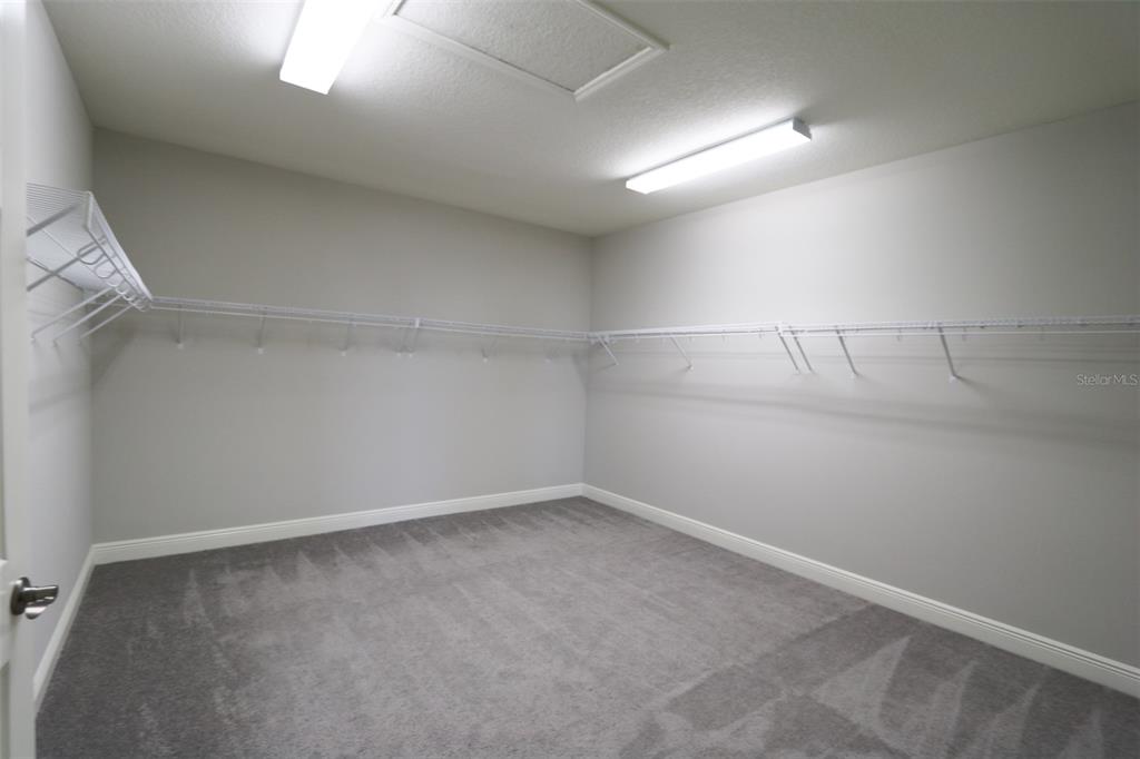 11978 CLIMBING FERN AVENUE gallery image #33
