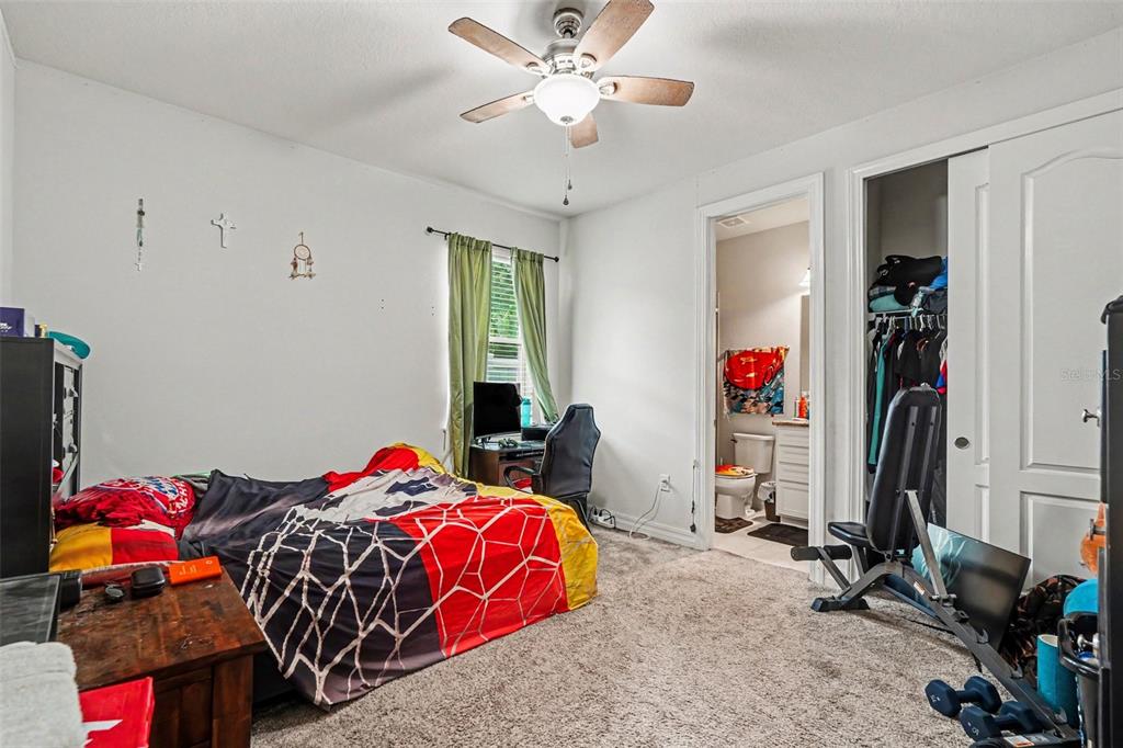 12593 PALAPA LOOP gallery image #17