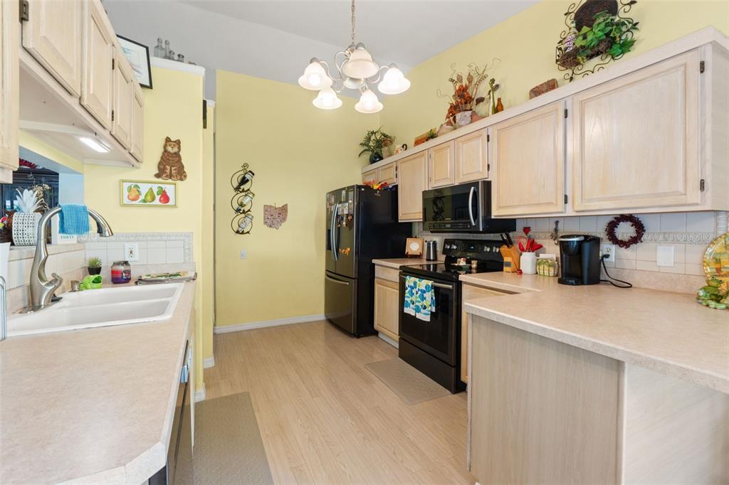 13732 TRIUMPH COURT gallery image #20