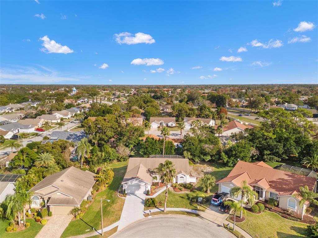 13732 TRIUMPH COURT gallery image #26