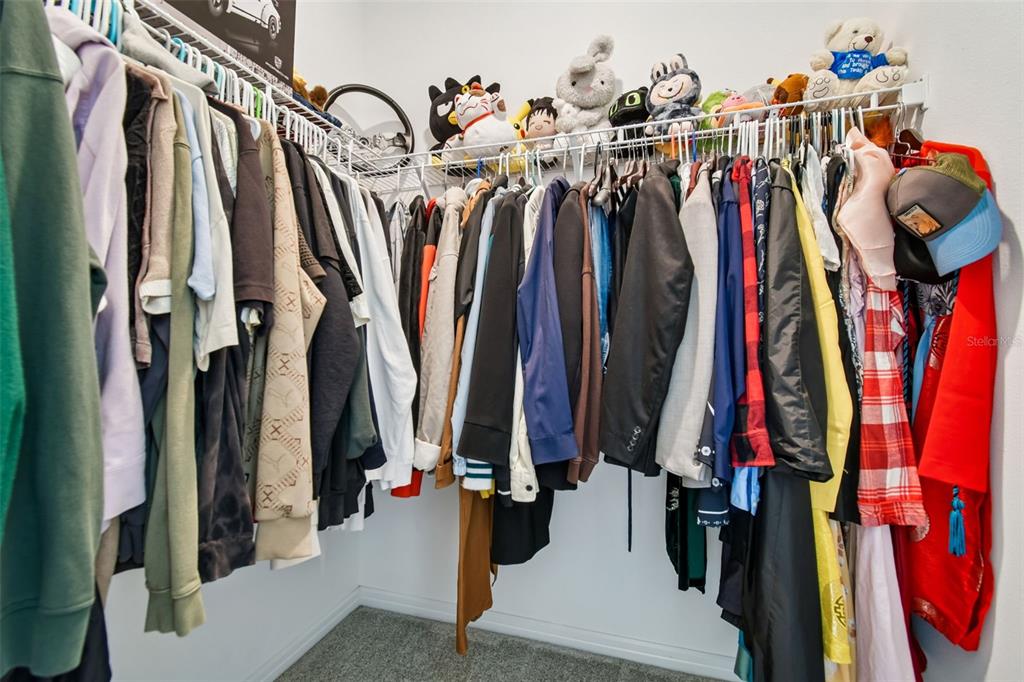 13816 SHARP HAWK DRIVE gallery image #56