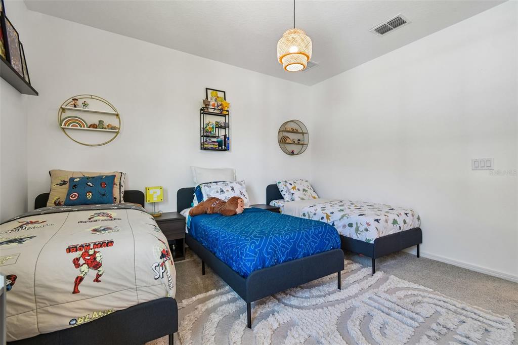 13816 SHARP HAWK DRIVE gallery image #61