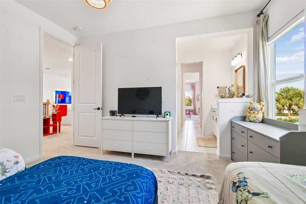 13816 SHARP HAWK DRIVE gallery image #62