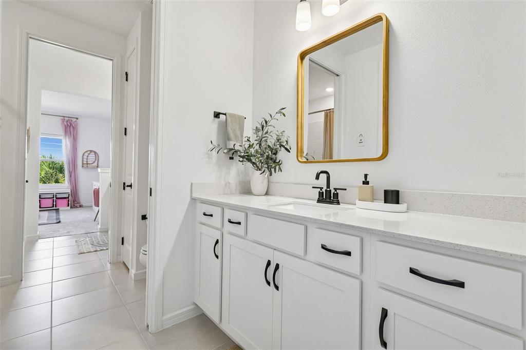 13816 SHARP HAWK DRIVE gallery image #63