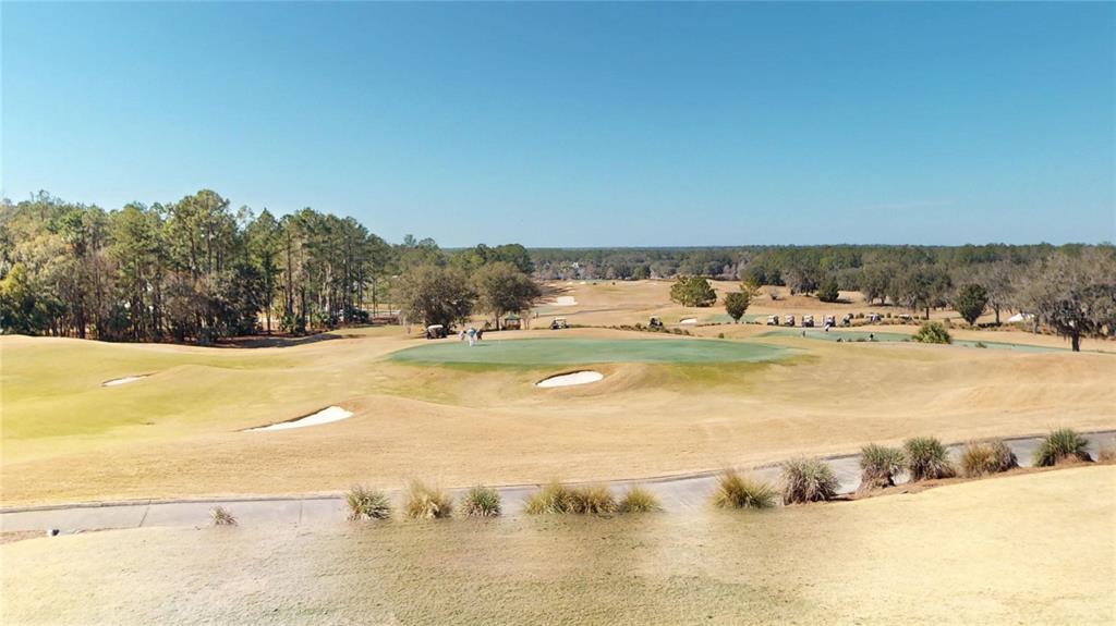 4801 MAJESTIC HILLS LOOP gallery image #76