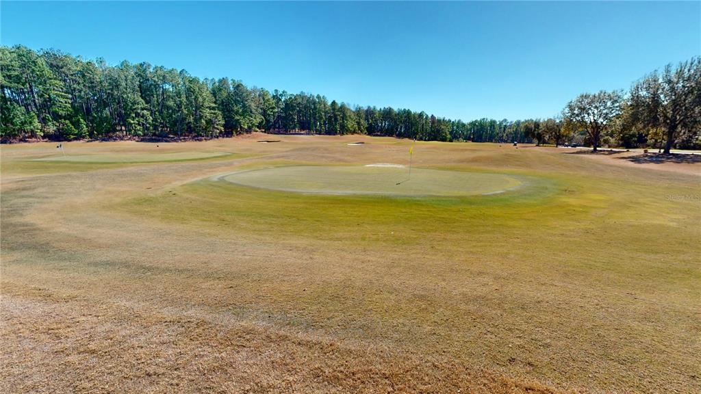 4801 MAJESTIC HILLS LOOP gallery image #77
