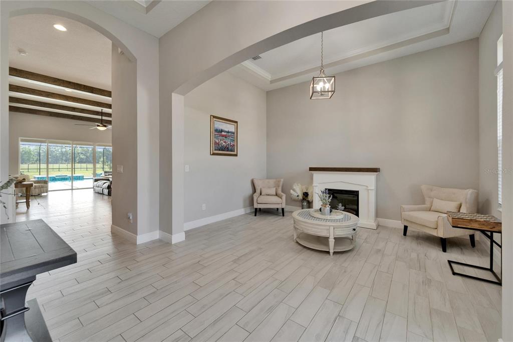 14239 SWISS BRIDGE DRIVE gallery image #11