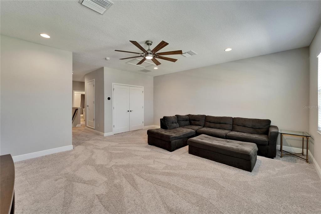 14239 SWISS BRIDGE DRIVE gallery image #43