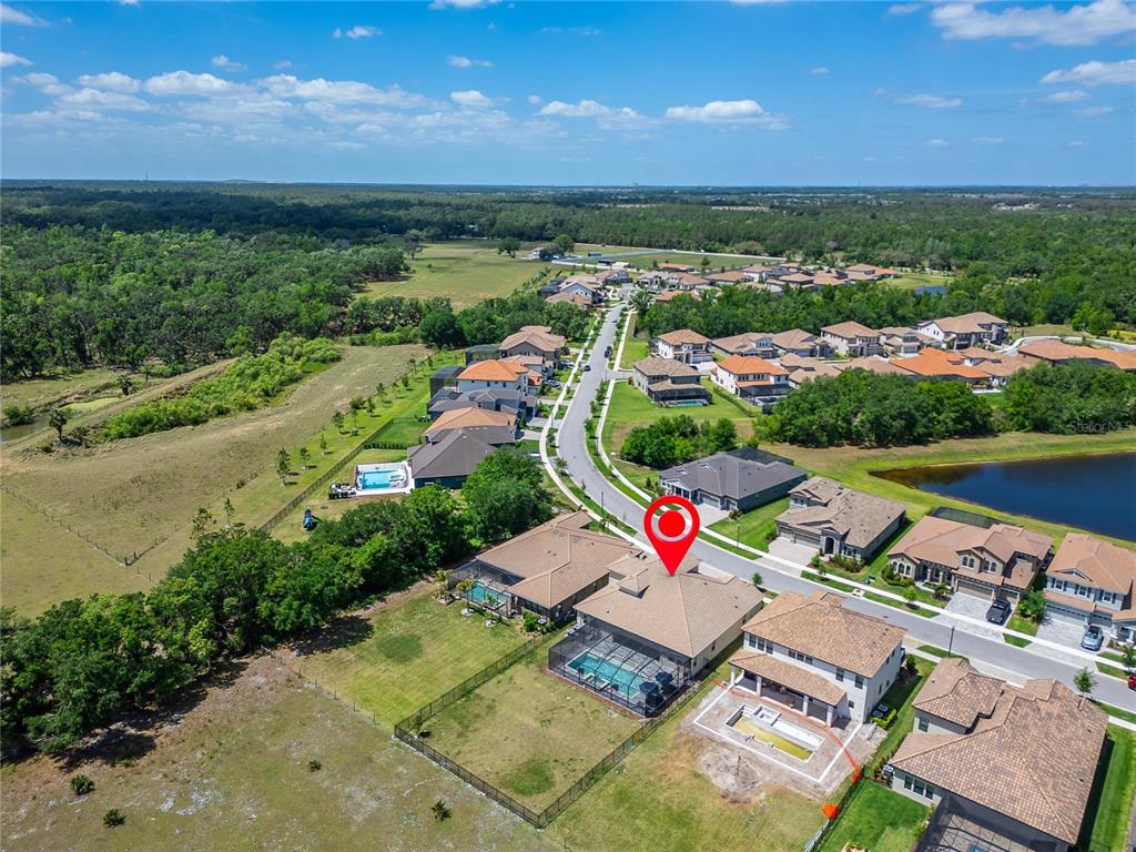 14239 SWISS BRIDGE DRIVE gallery image #68