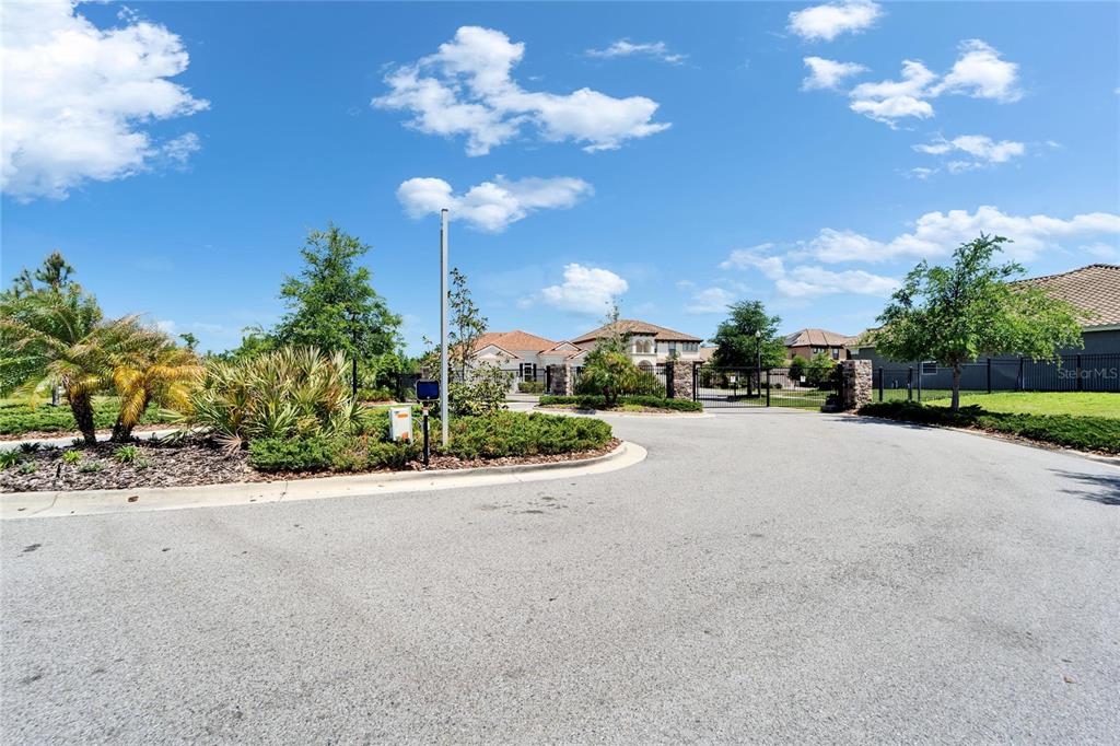14239 SWISS BRIDGE DRIVE gallery image #73