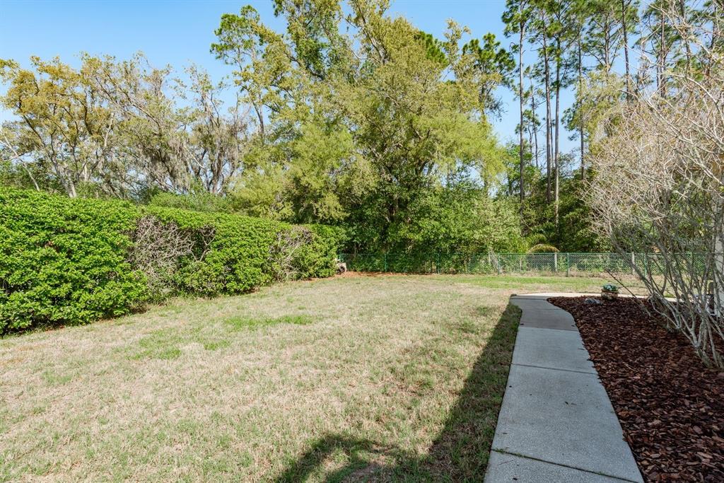 6207 CLAIRE DE LUNE COURT gallery image #59
