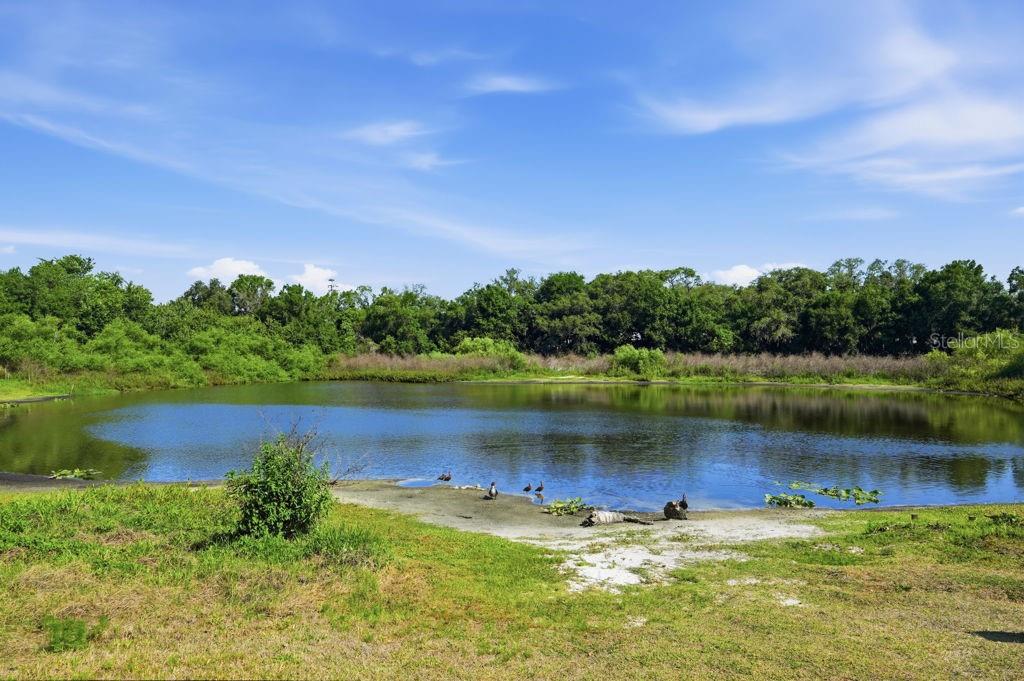 1708 POND LAKE DRIVE gallery image #64