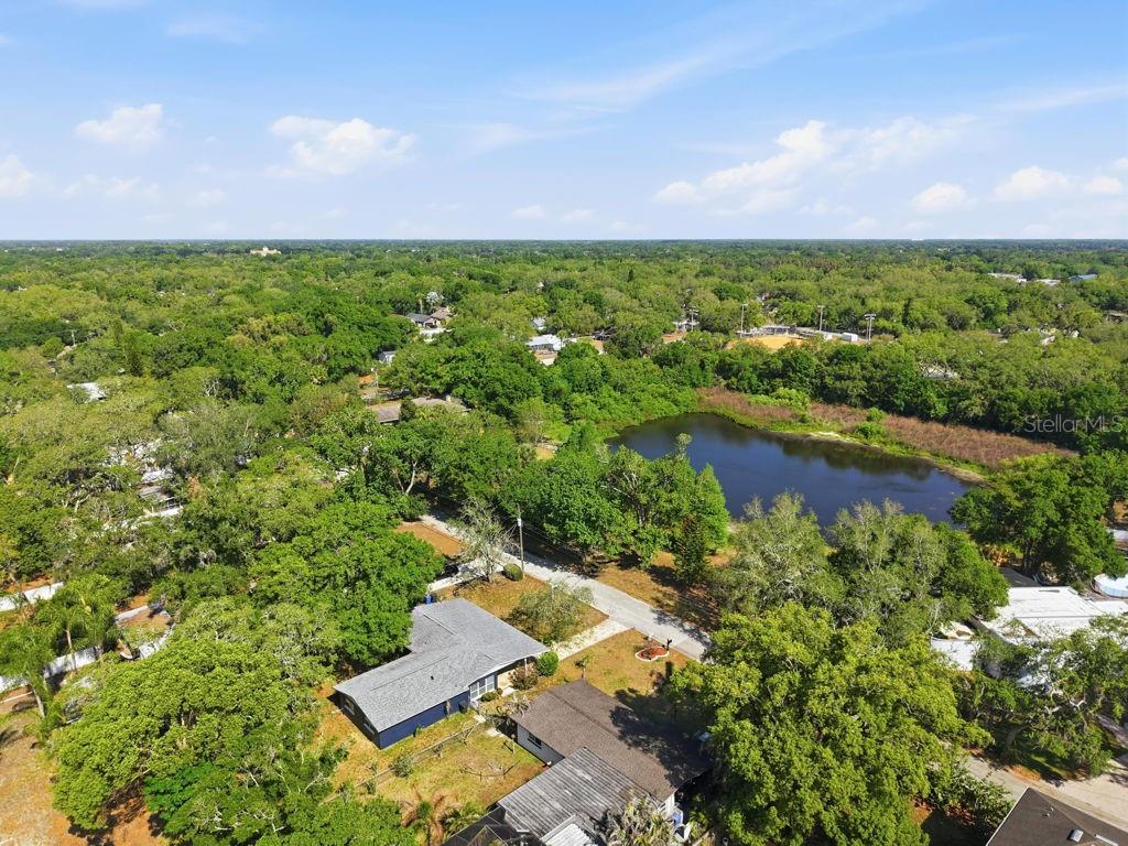 1708 POND LAKE DRIVE gallery image #69