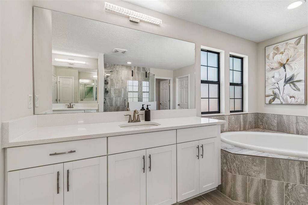 13154 TWIN BRIDGES DRIVE gallery image #53
