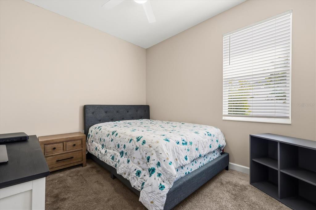 133 TAFT DRIVE gallery image #24