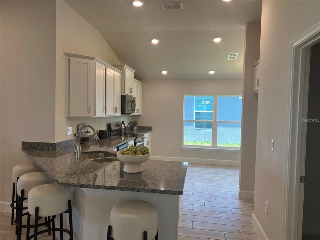 9393 HIGHLAND HILLS DR STREET gallery image #8