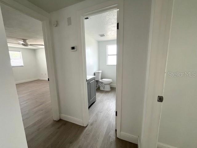 6646 ALBEMARLE PARKWAY gallery image #10