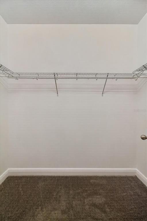 1389 HERITAGE LANDINGS DRIVE gallery image #49