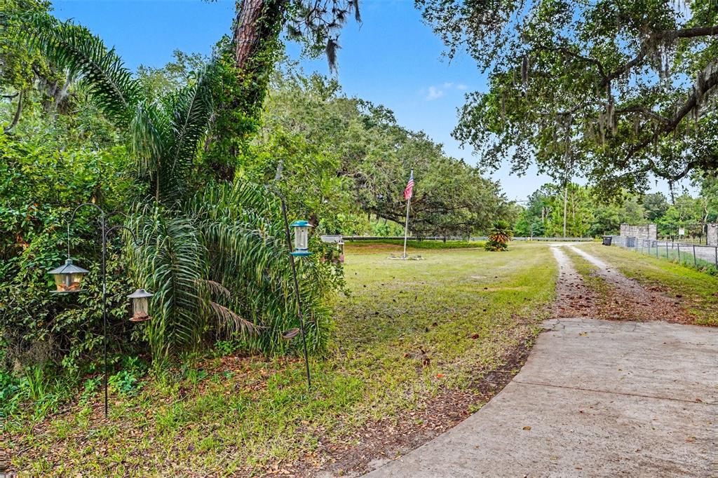 3131 COUNTY ROAD 547 N gallery image #23