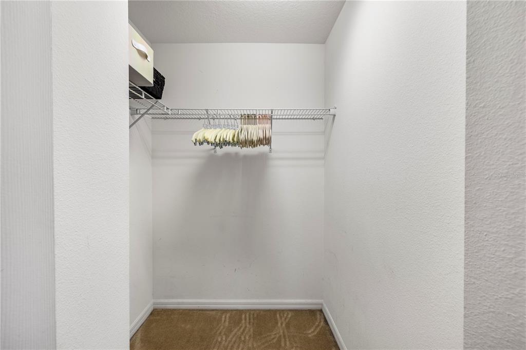 436 ORANGE COSMOS BOULEVARD gallery image #10
