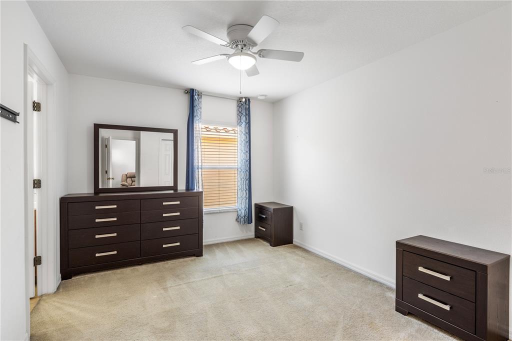 436 ORANGE COSMOS BOULEVARD gallery image #15