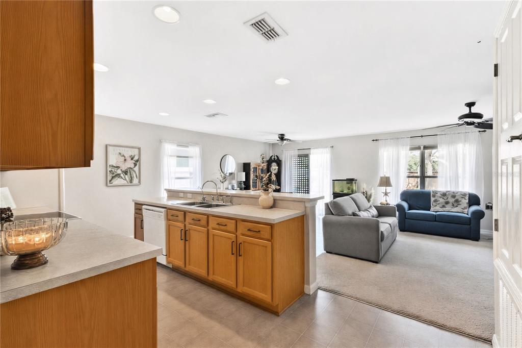 4629 CAVERNS DRIVE gallery image #7