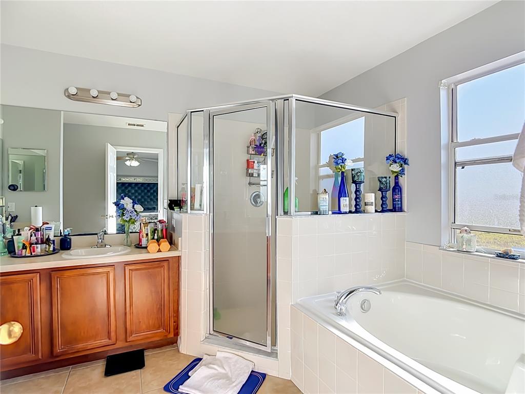 1425 NELSON BROOK WAY gallery image #24